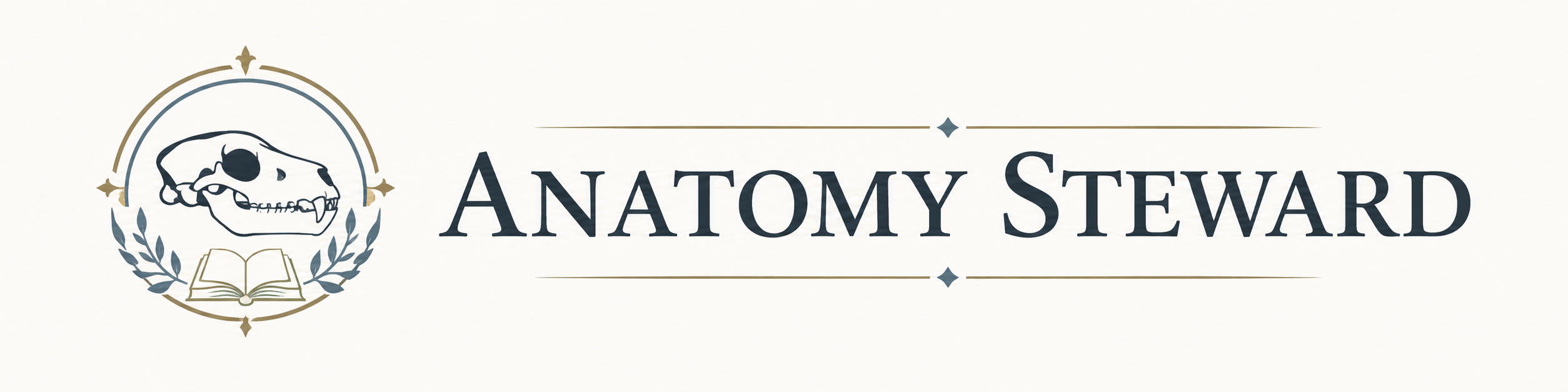 Anatomy Steward